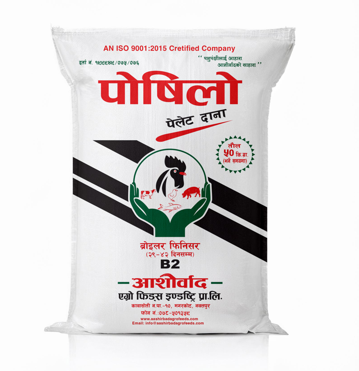 नेपालकै उत्कृष्ट कुखुराको दाना: आशीर्वाद एग्रो फिड्सको पोषिलो