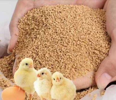 Broiler Grower Feed